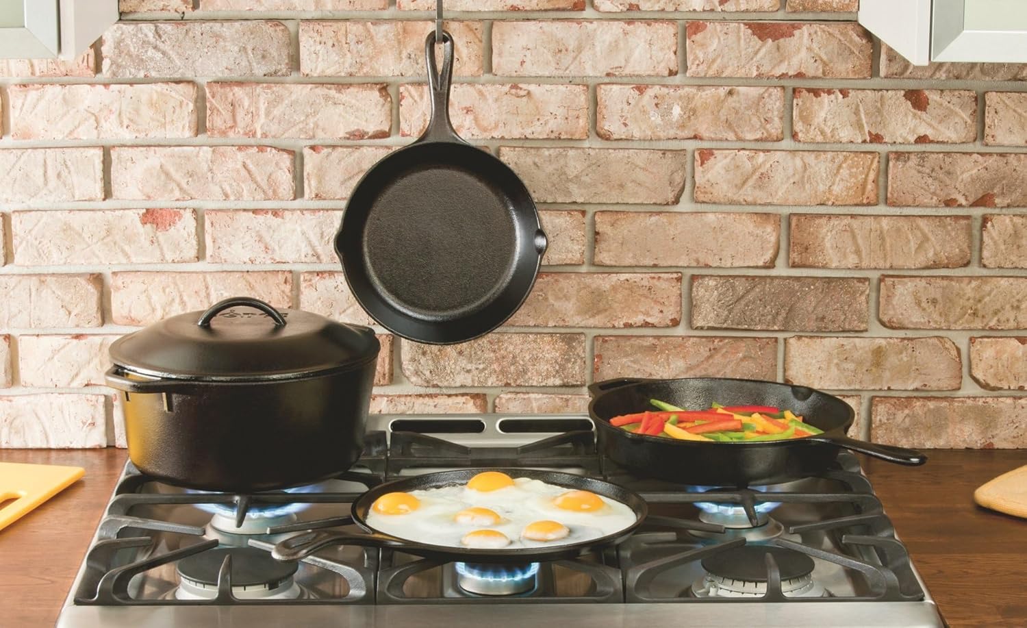 Lodge Cast Iron Dutch Oven cooking vessel detail