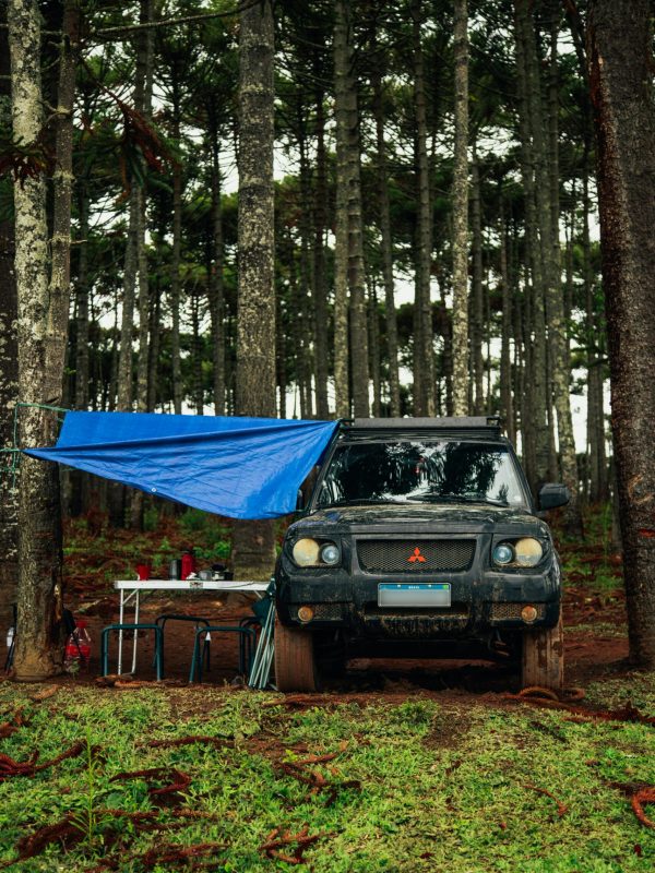 pexels-bertellifotografia-11749427 pexels-bertellifotografia-11749427